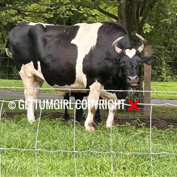 About me Photos🥳🥳❌❌ - Picture 13 of 14